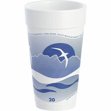 Dart J Cup 20 oz Horizon Design foam cups